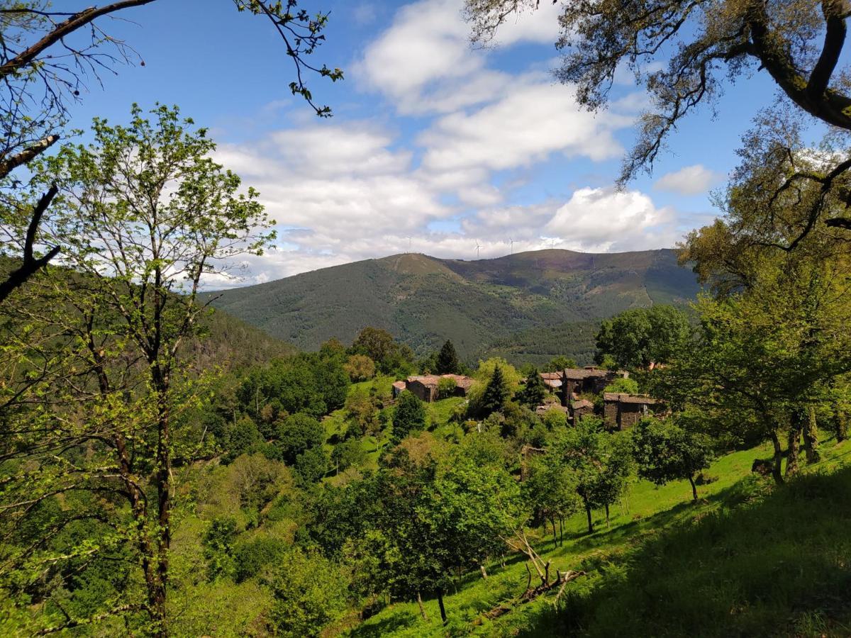 Res Do Chao Da Montanha Magica Apartment Lousa  Bagian luar foto